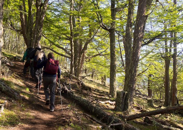 Excursions from the Singular Patagonia