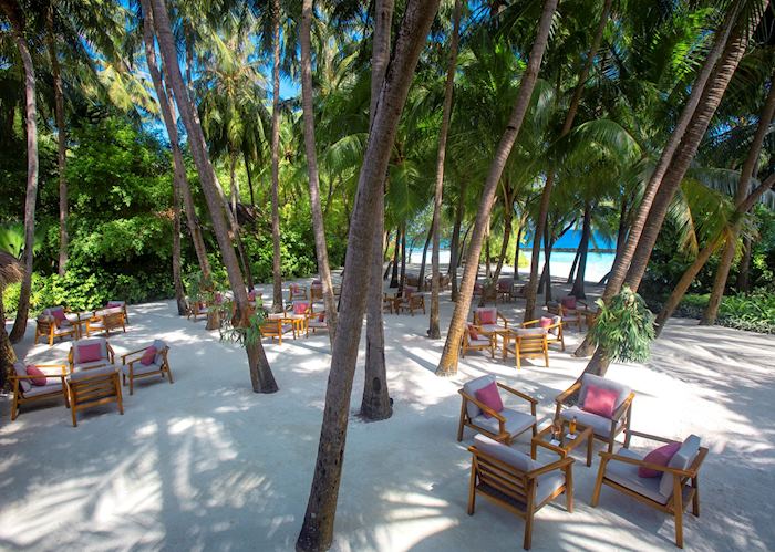 Palm Garden, Baros Maldives, Maldive Island