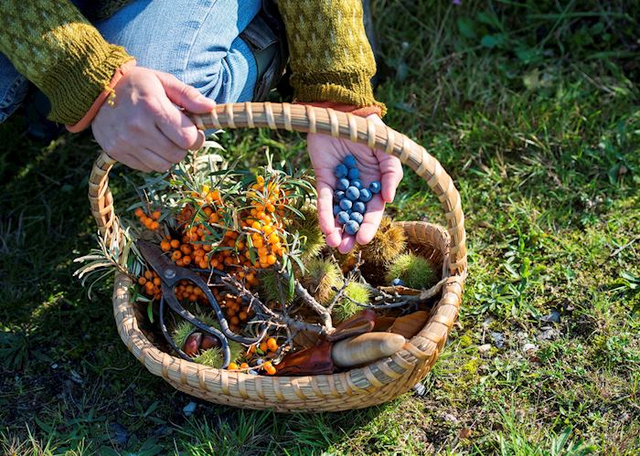 Food forager