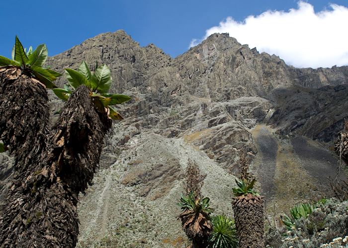 Rwenzori Mountains