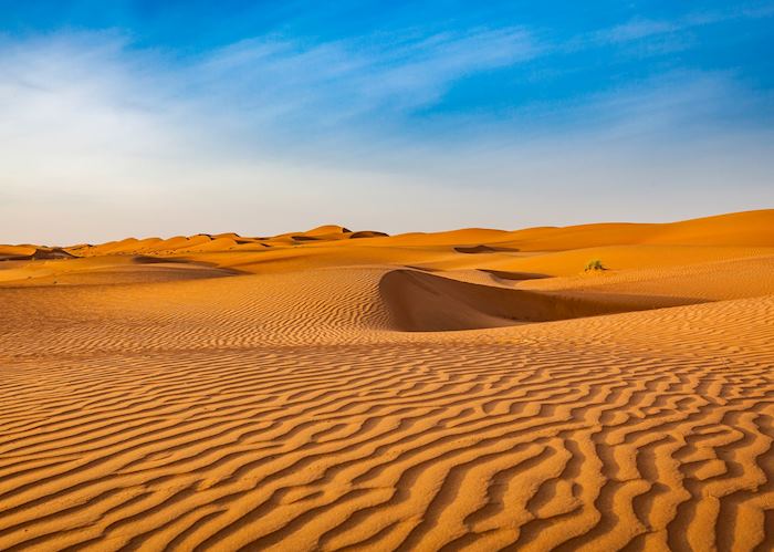 Wahiba Sands