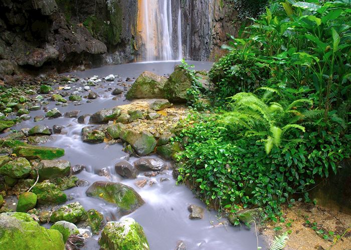 Rainforest, Saint Lucia