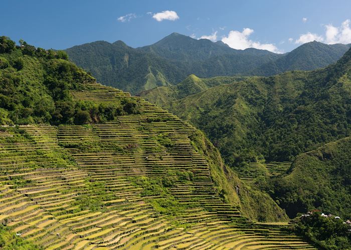 Rice terraces in Banaue