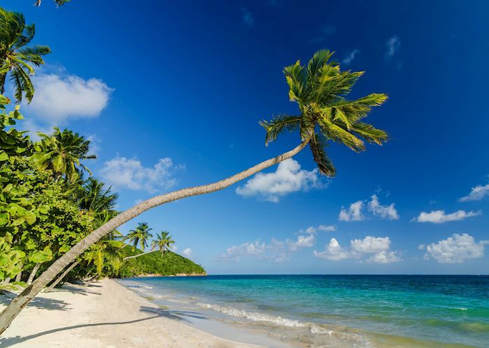 Beach on Providencia Island