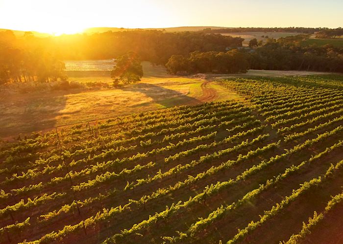 Amato Vino, Margaret River