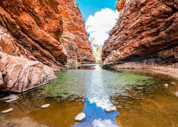 Visit Alice Springs on a trip to Australia | Audley Travel US