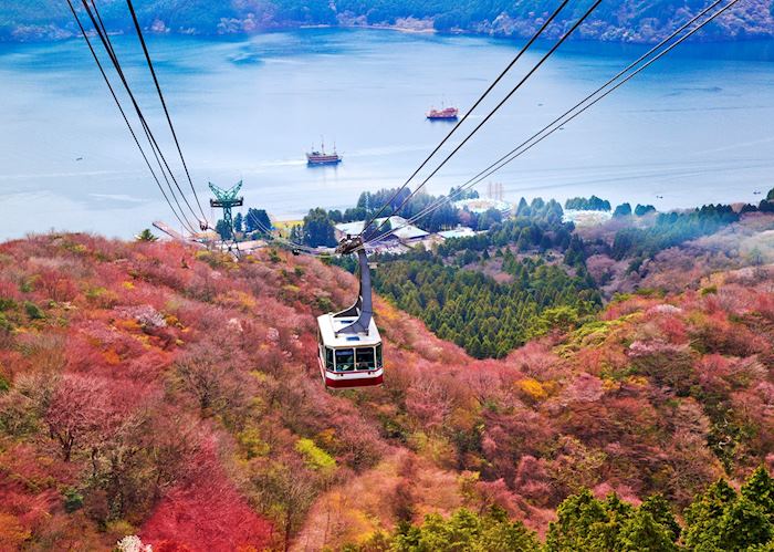 Hakone Autumn