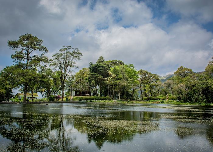 Selva Negra Farm Tour