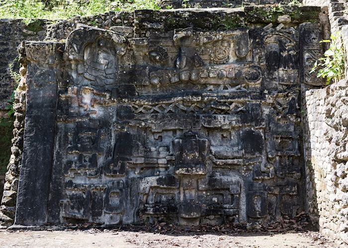 Caracol Tour with a visit to Rio Frio Cave and Rio On Pools
