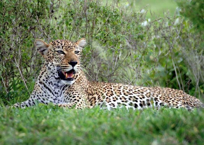 Nyerere National Park, Tanzania