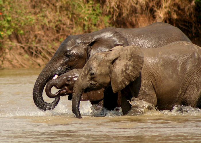 Selous Game Reserve, Tanzania