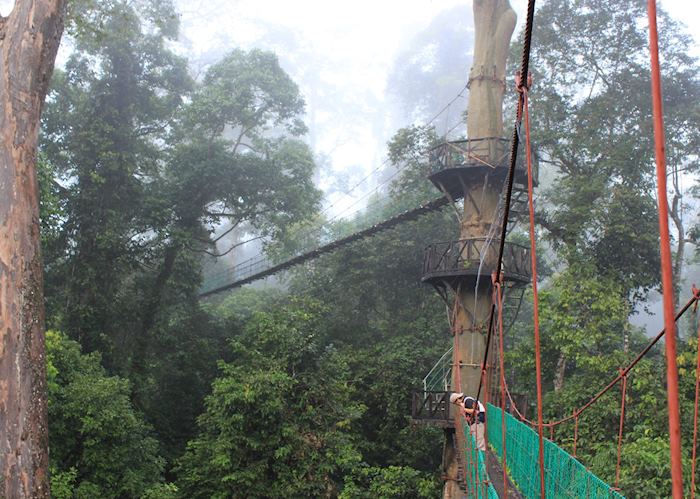 Canopy walkway, Danum Valley