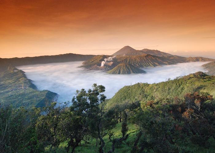 Mount Bromo, Indonesia