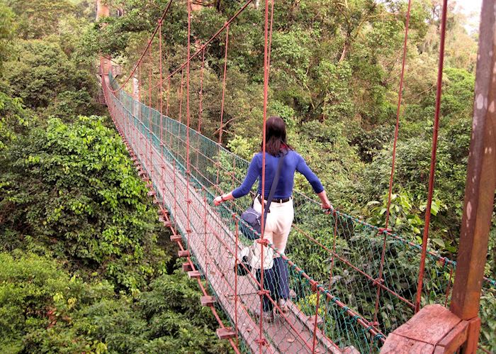 Canopy walkway, Danum Valley, Malaysian Borneo