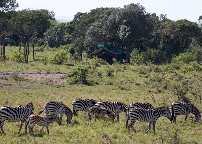 Offbeat Mara Camp, Masai Mara