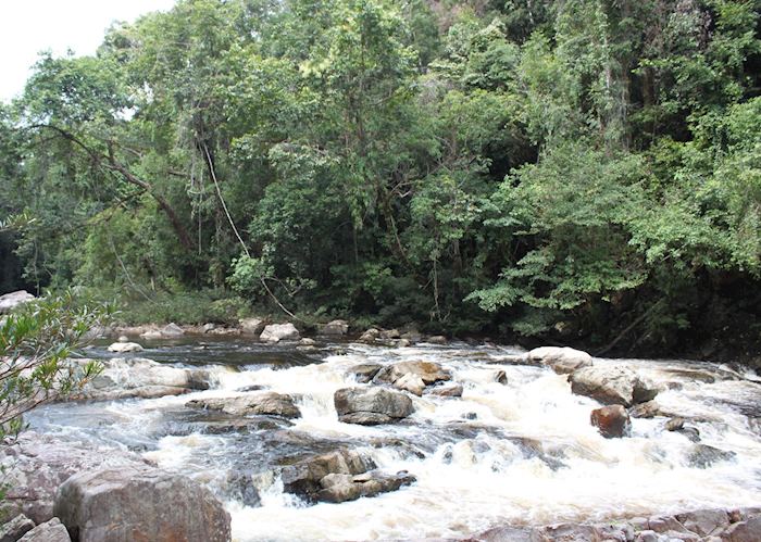 Taman Negara National Park