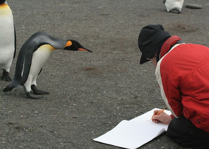 South Georgia, Antarctica