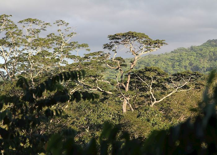 Nkhotakota Wildlife Reserve, Malawi