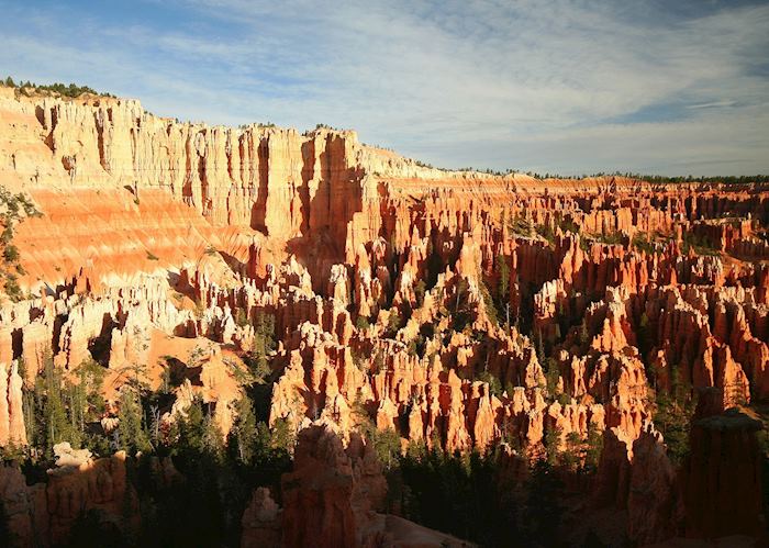 The Ampitheatre at Sunrise from Bryce Point, Bryce Canyon National Park