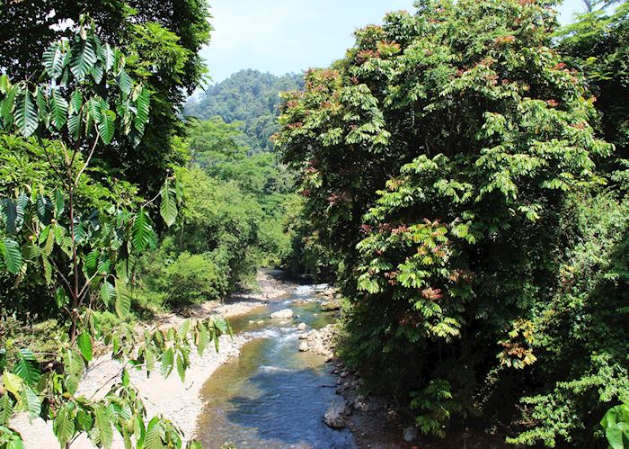 View from Jungle Lodge, Tangkahan