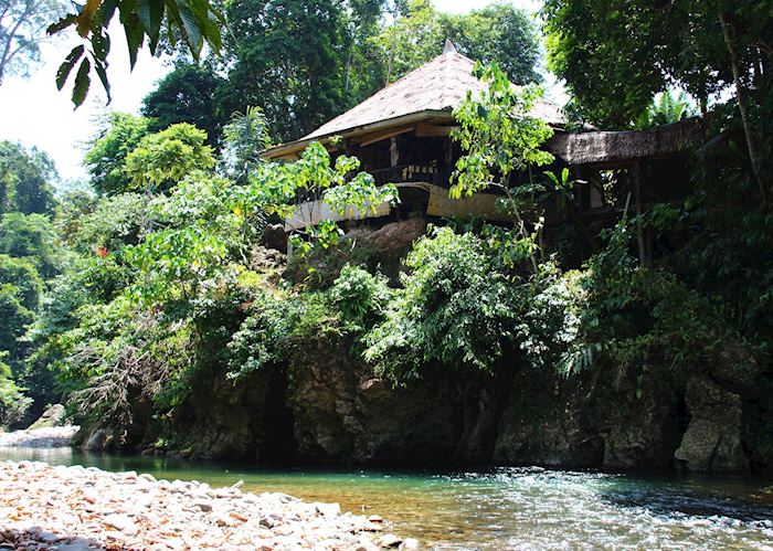 Jungle lodge, Tangkahan