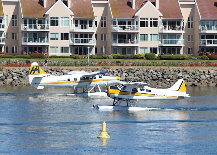 Seaplanes cross paths in Victoria, Canada