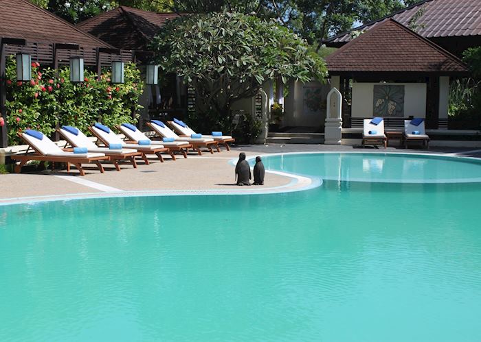 Pool, Aye Yar River View Resort, Bagan