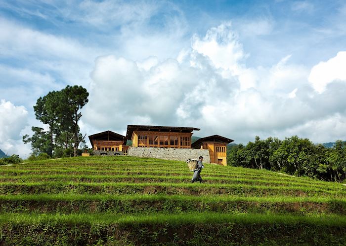 Uma Punakha, Punakha