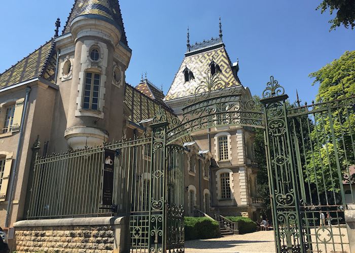 Aloxe-Corton, Burgundy