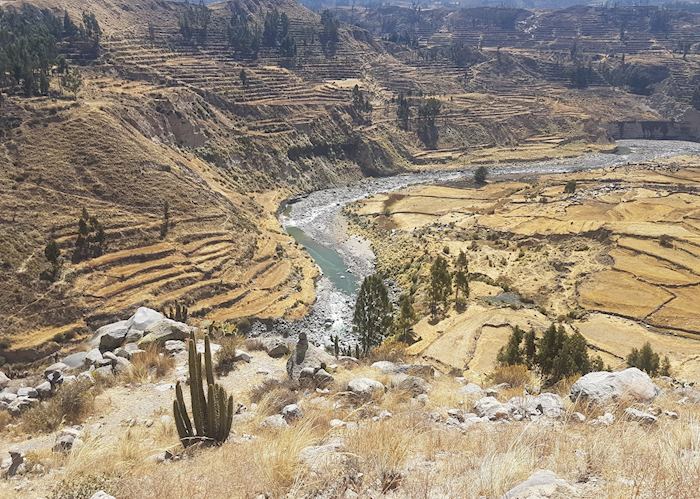 Colca Canyon