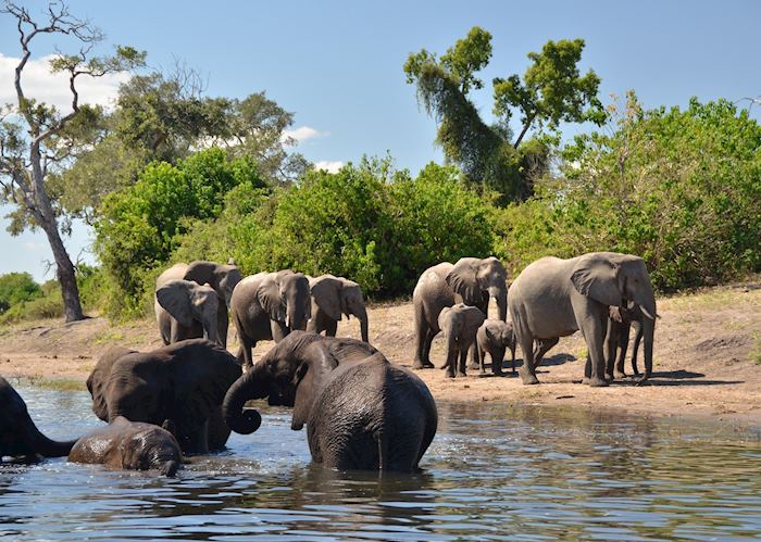 Muchenje Safari Lodge, Chobe National Park