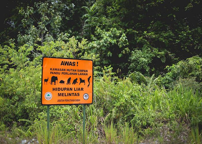 Wildlife warnings, Deramakot