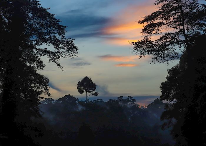 Deramakot Forest Reserve