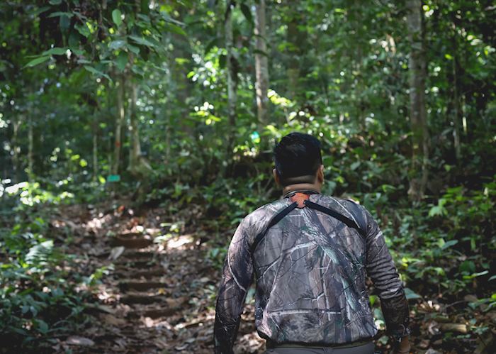 Exploring the walking trails, Deramakot