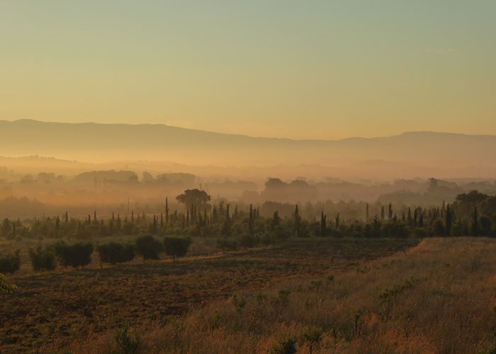 Misty morning, Tuscany