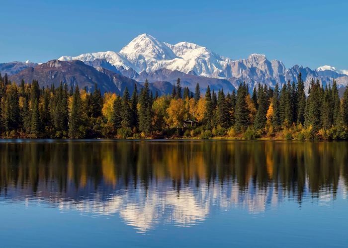 Mt Denali