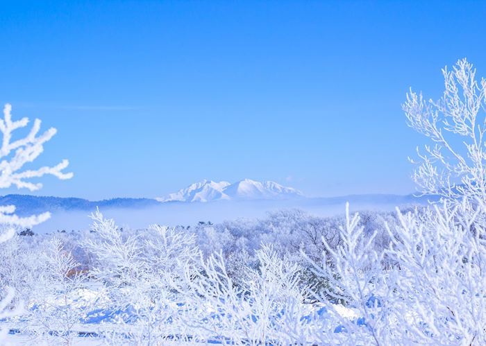 Hokkaido mountain view