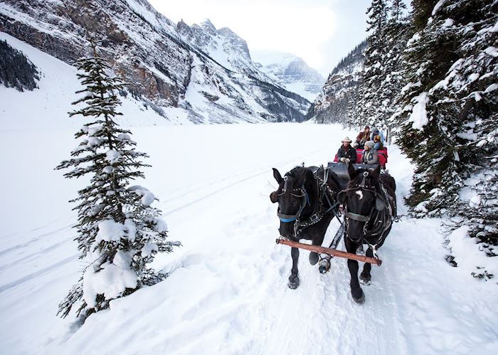 Sleigh ride in Banff National Park