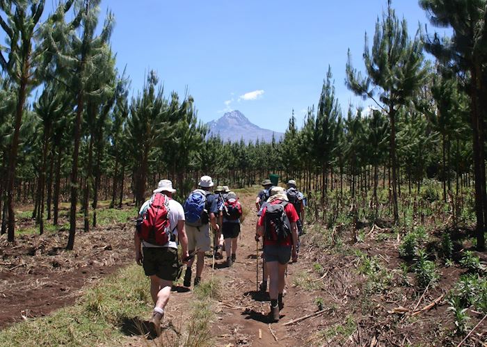 Walkers approaching Mount Kilimanjaro