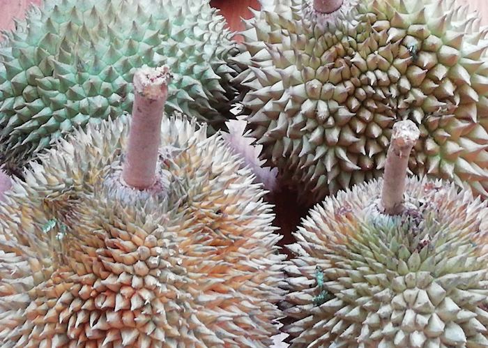 Durian Fruit 
