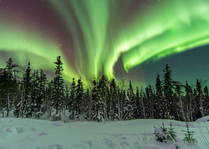 The Northern Lights