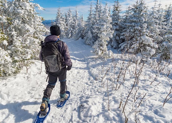 Snowshoeing