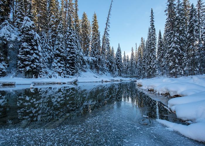 Winter in Jasper National Park