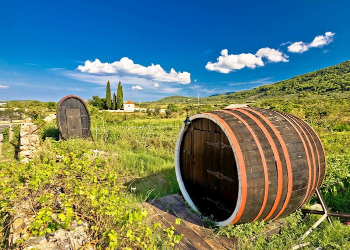 Farmland of Stari Plain, Hvar