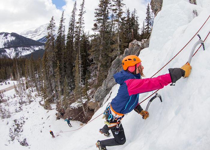 Frozen waterfall ice climbing experience, Jasper 