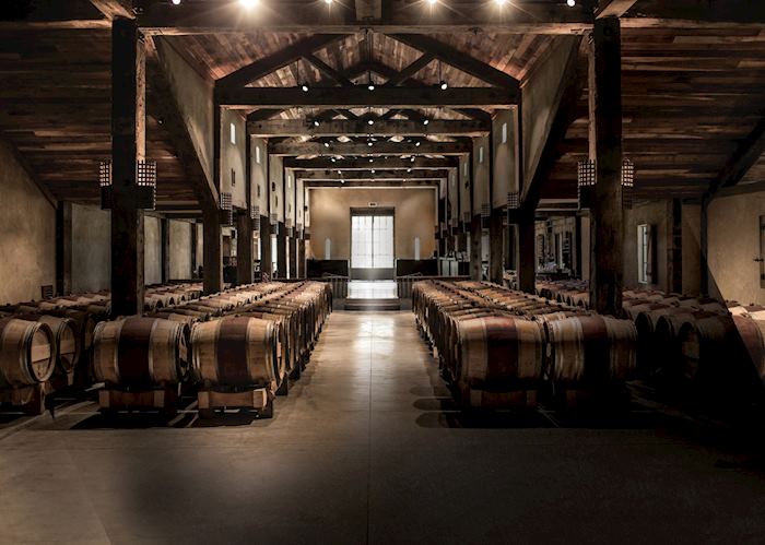 Barrel Room in Hawke's Bay