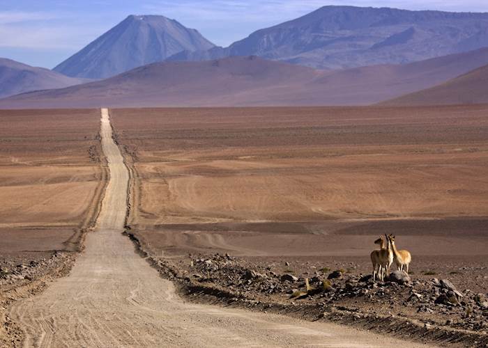 The Atacama, Chile