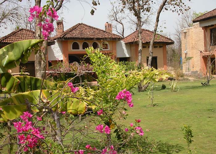Tuli Tiger Resort.