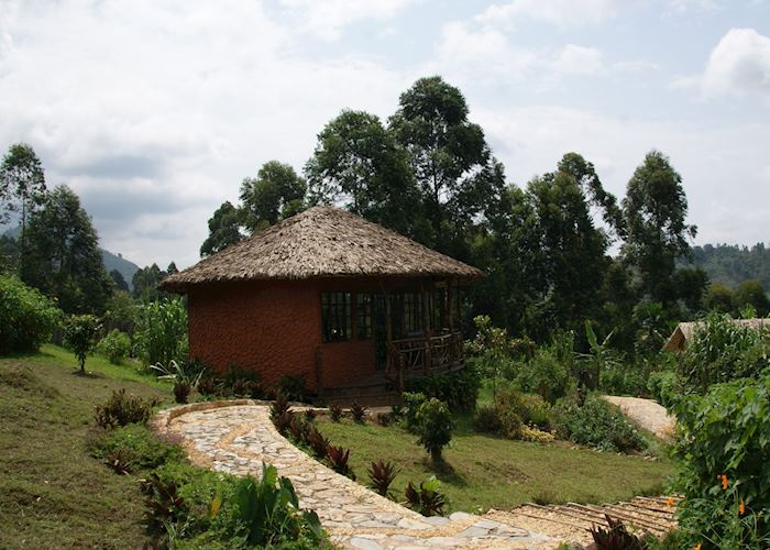 Mahogany Springs, Bwindi Impenetrable National Park