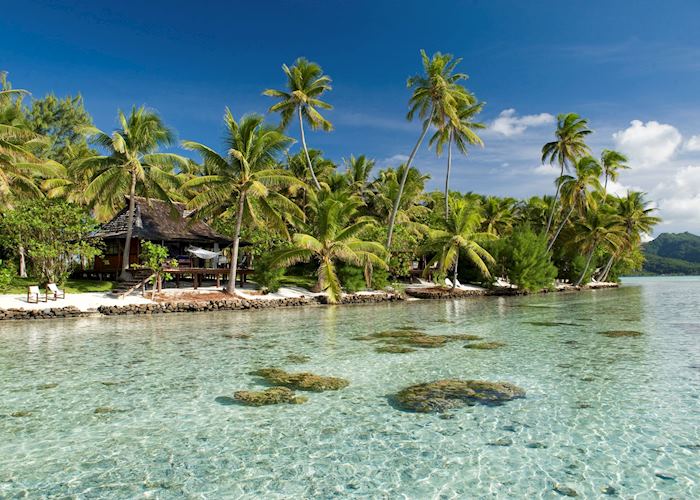 Vahine Island Resort